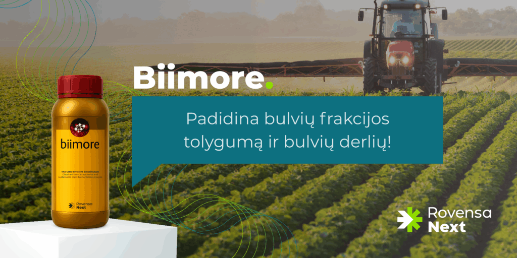 Padidina bulvių frakcijos tolygumą ir bulvių derlių!