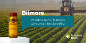 Padidina bulvių frakcijos tolygumą ir bulvių derlių!
