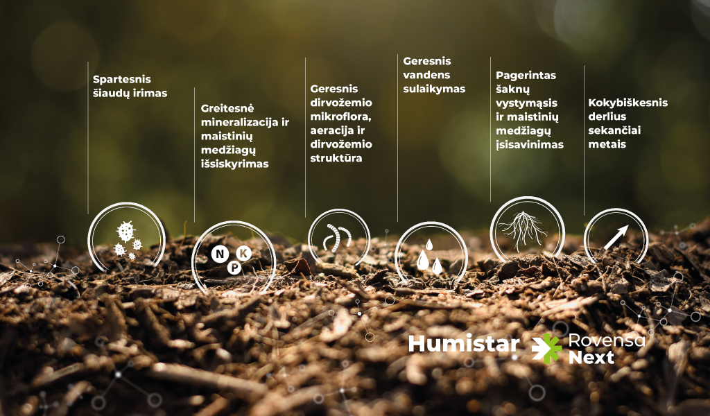Humistar banner_Plan de travail 1